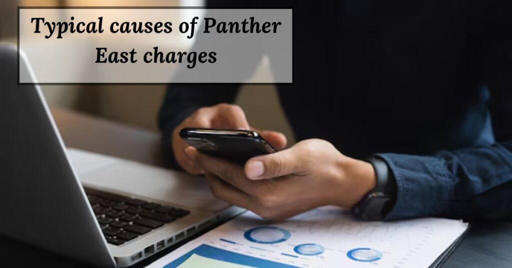 Typical causes of Panther East charges