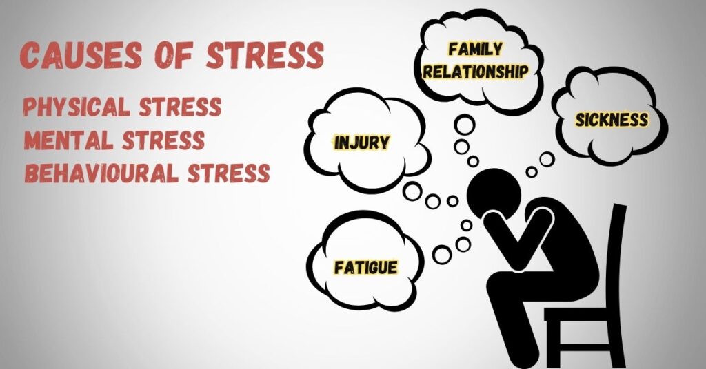 causes-of-stress