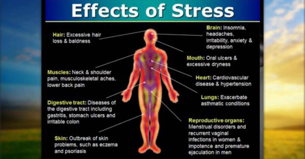 how-stress-affects-everyday-life (1)