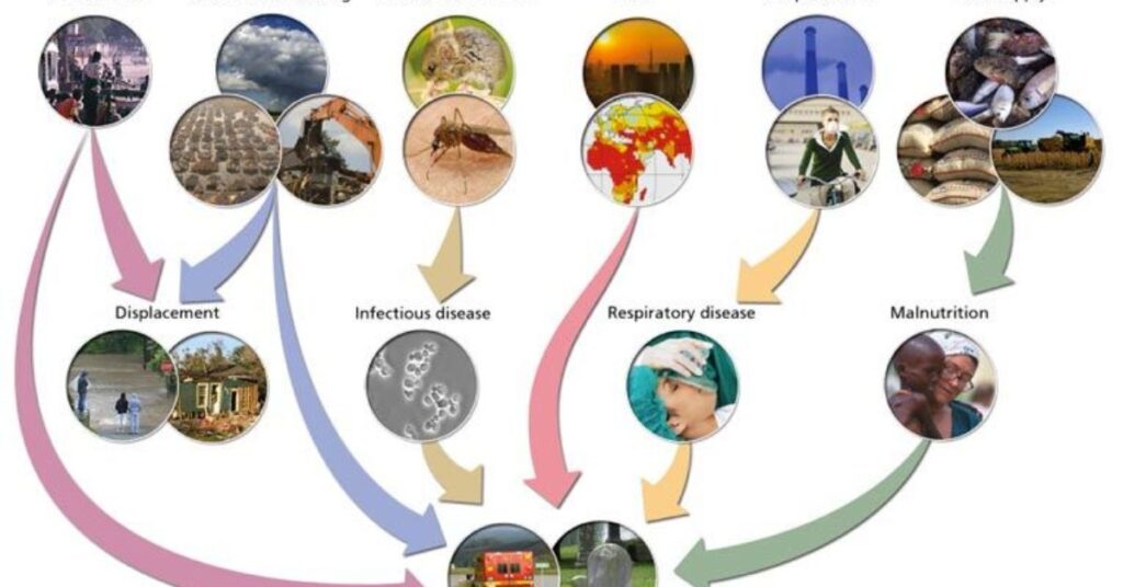 the-health-impacts-of-climate-change