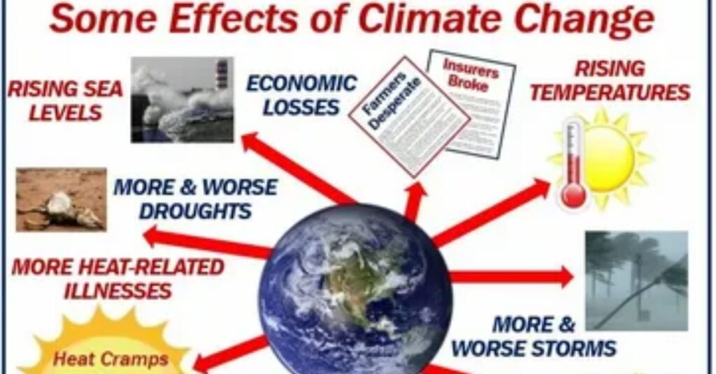 understanding-our-role-in-the-climate-crisis 